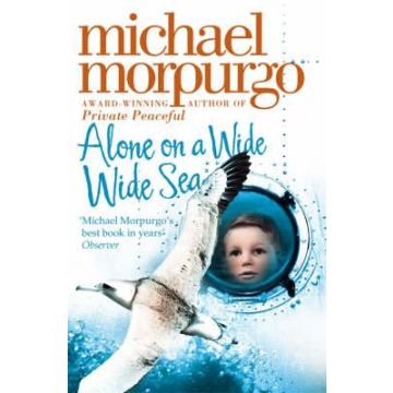 Alone on a Wide Wide Sea (Old Edition 9780007230587)